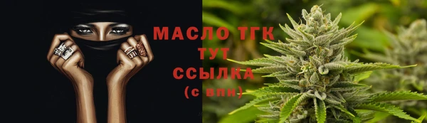 дмт Алексин