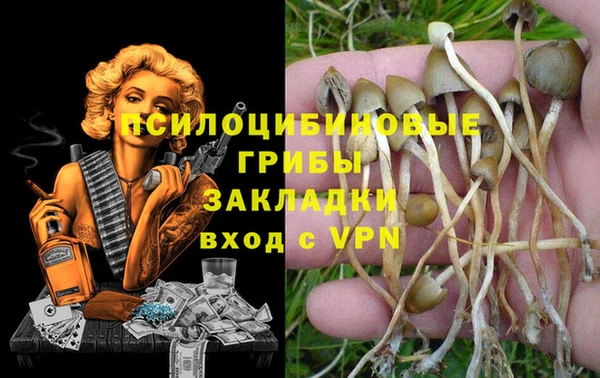 герыч Алексеевка