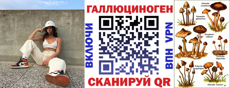 цены наркотик  Поронайск  Галлюциногенные грибы Cubensis 